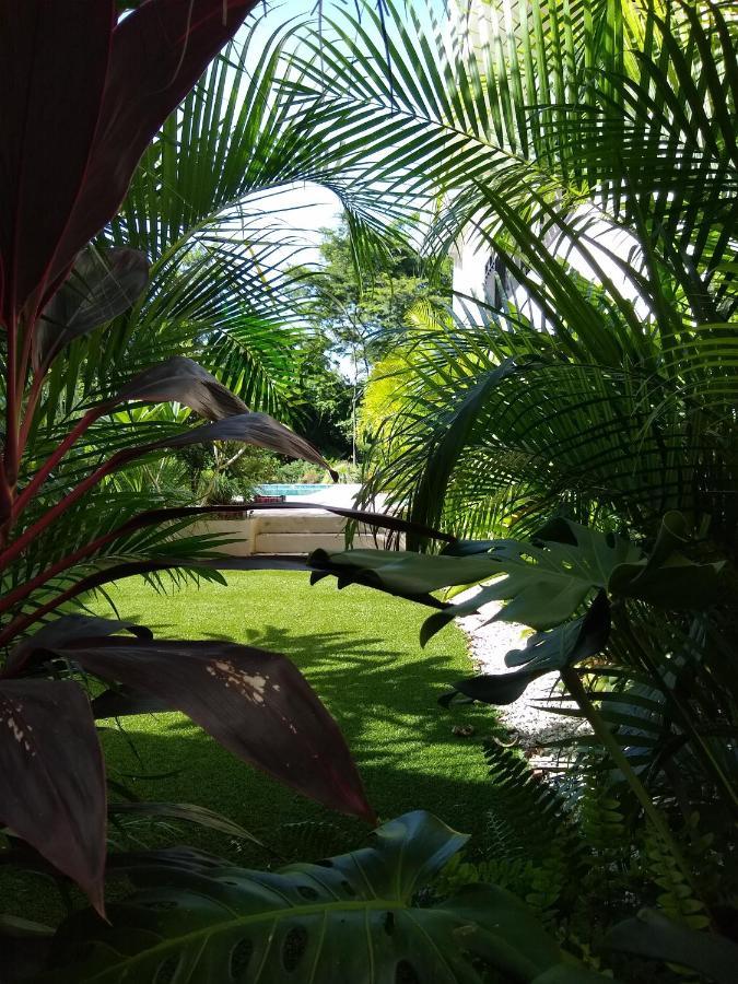 Palm Beach Inn Playa Grande Eksteriør bilde
